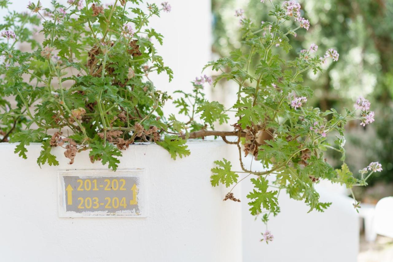 Costa Sariyaz Hotel Bodrum Exteriör bild